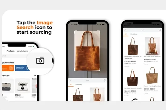 Screenshot showcasing the image search icon next to handbags