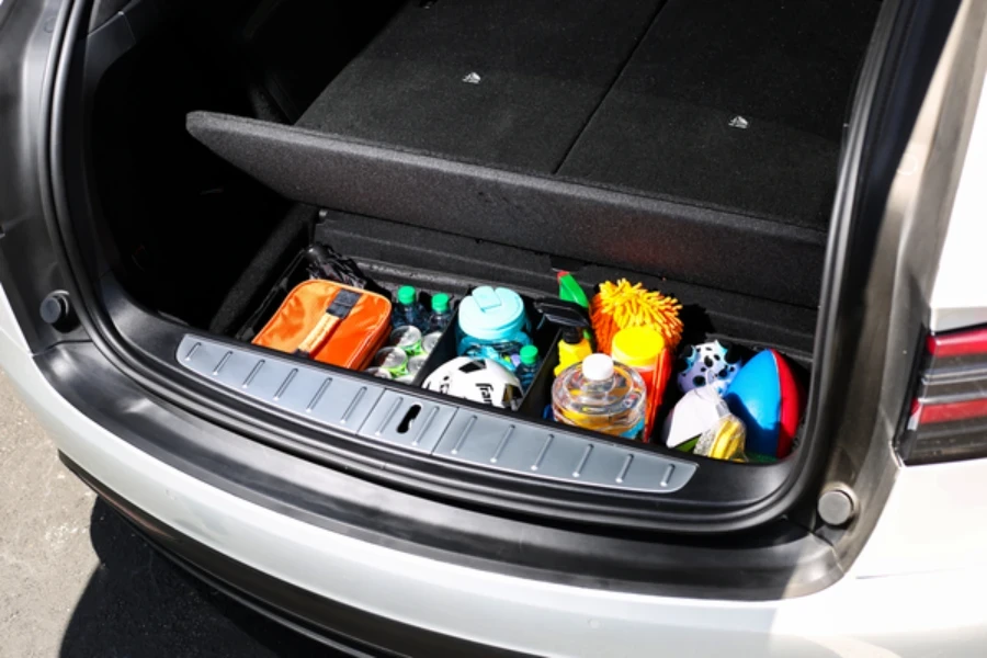 Groceries inside a trunk organizer