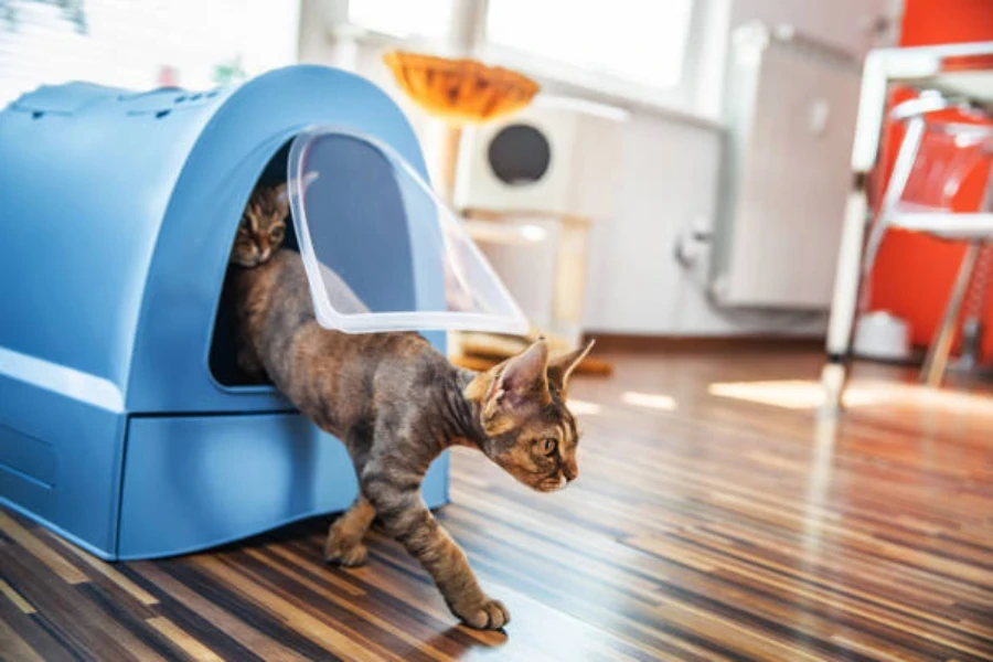 cat exiting enclosed litter tray