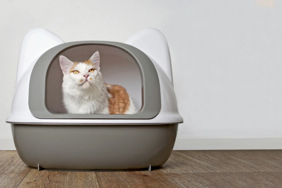 domestic cat in an absorbent litter box