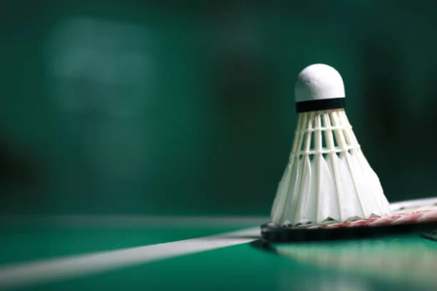 White feather shuttlecock sitting on the edge of a racquet