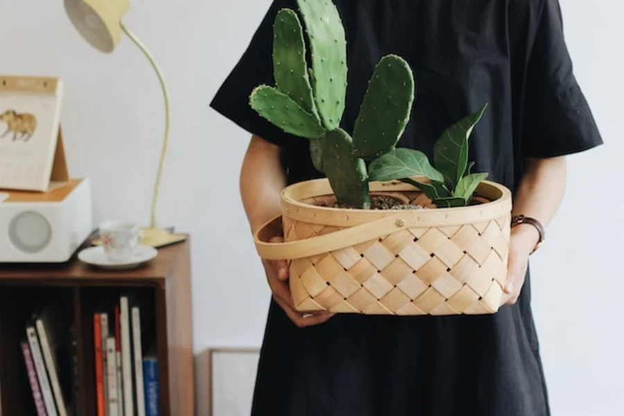 une dame tenant une plante de cactus dans un panier en osier