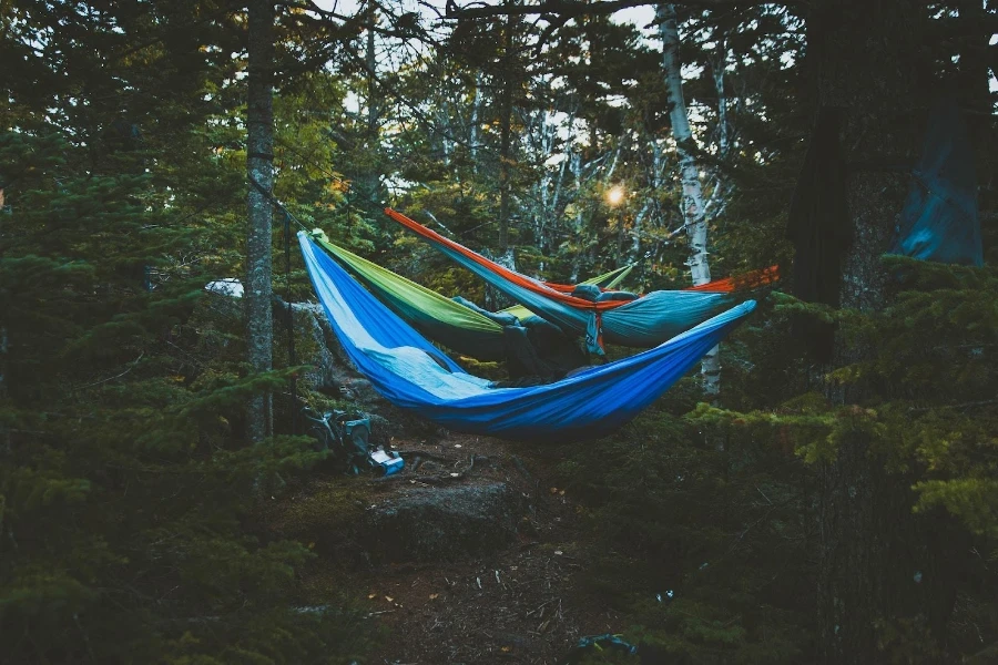 A couple of hammock sleeping bags at a campsite