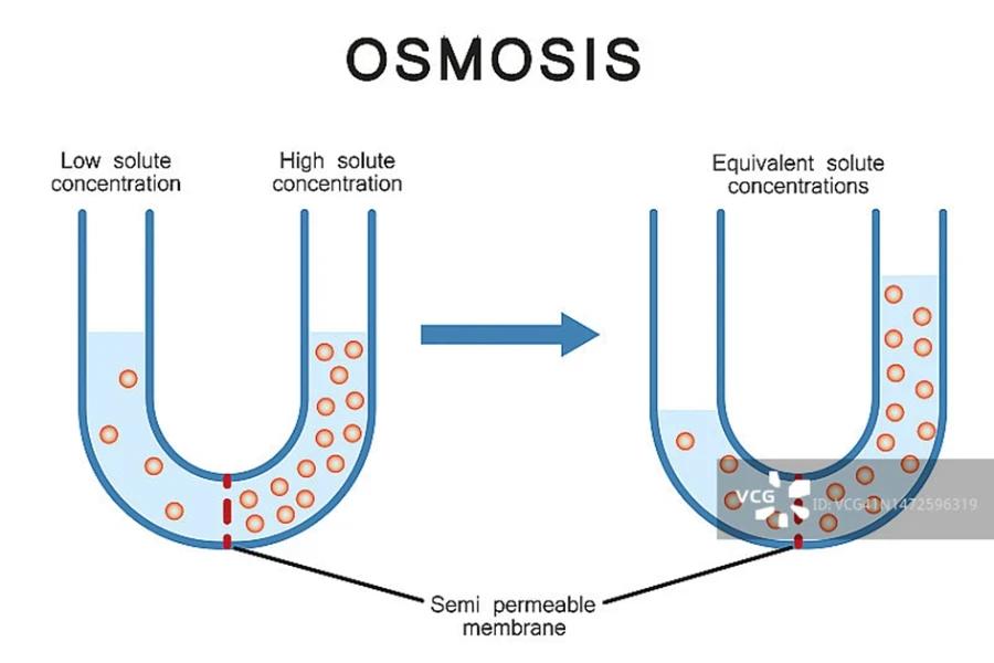 Diagramm, das den umgekehrten Wasserfluss durch eine semipermeable Membran zur Filtration zeigt