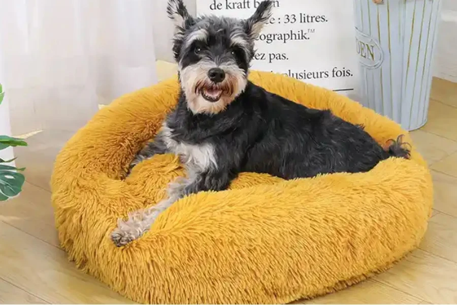 cama do cão