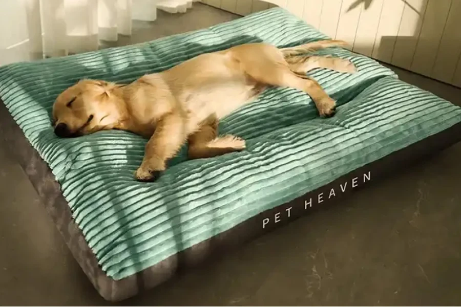 cama do cão