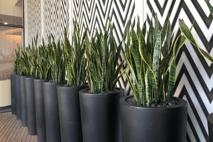 some planters in a foyer