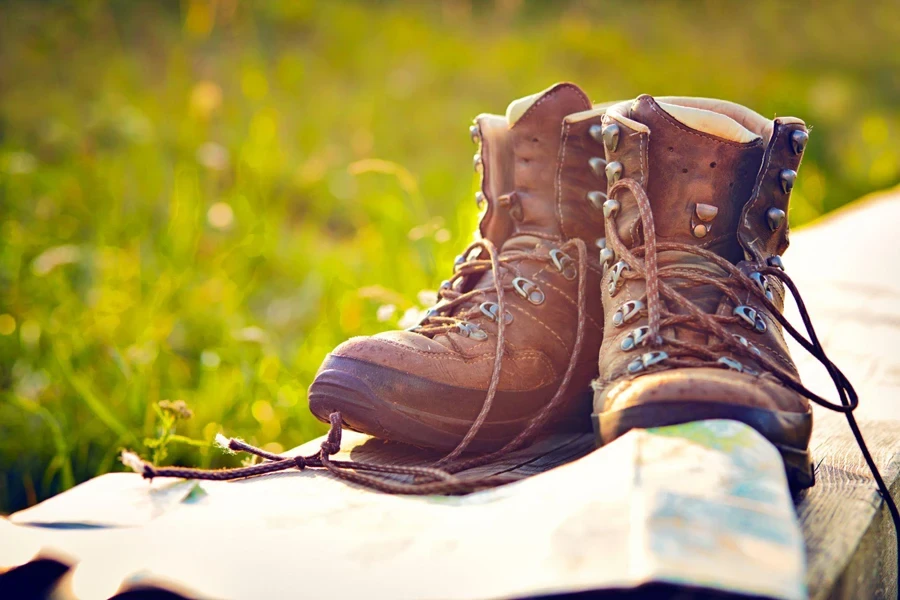 Hiking Shoes