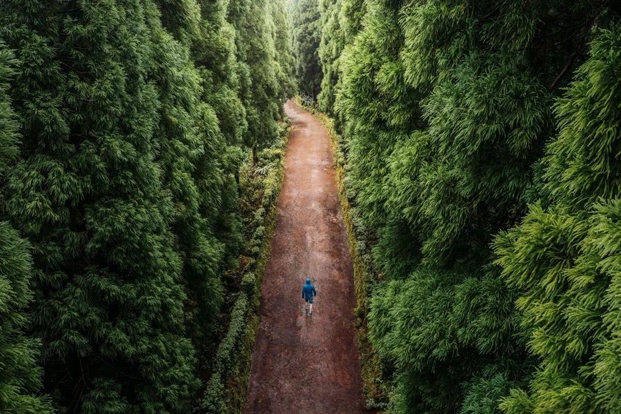 un uomo che fa un'escursione nella foresta