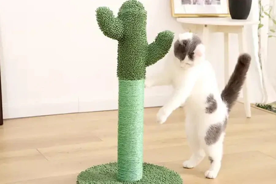 cat scratcher