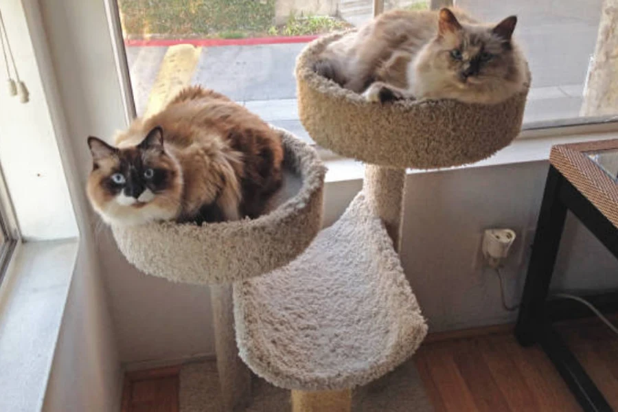 cat tree