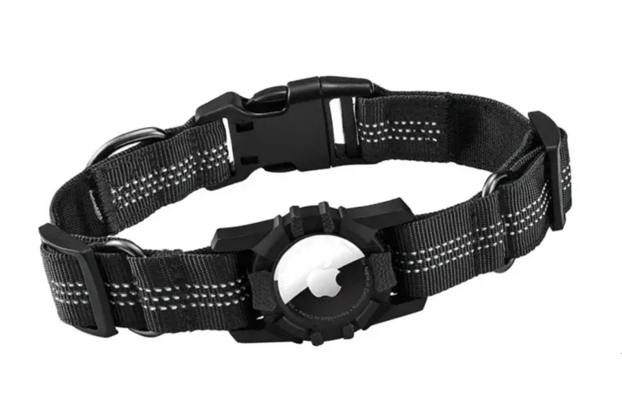 dog collar