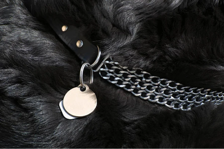 Collier de chien