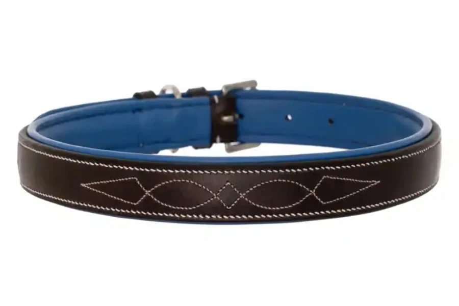 dog collar