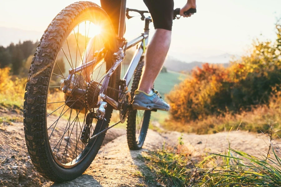 Freno de bicicleta