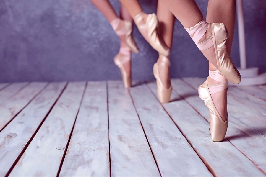 Chaussures de danse