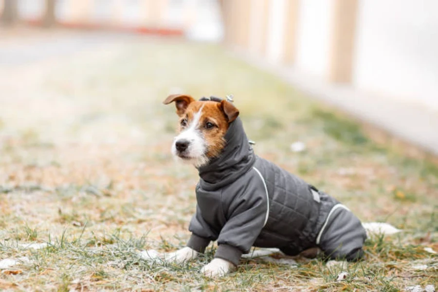 ropa para perros