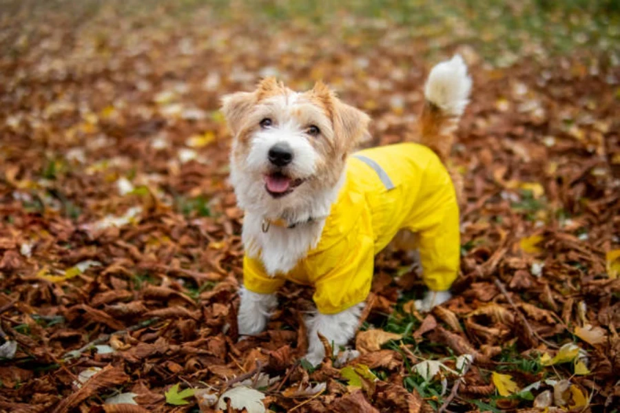 Hundebekleidung