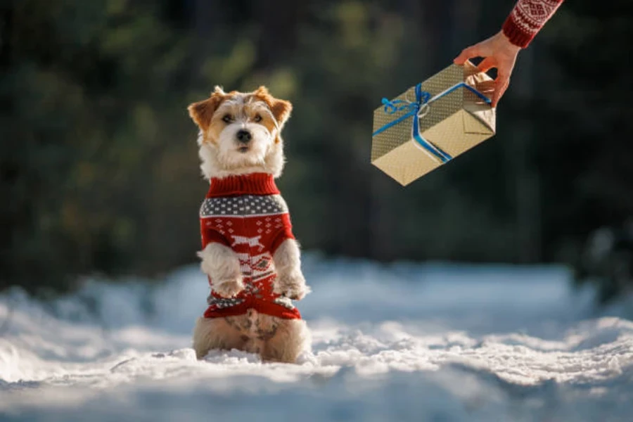 ropa para perros