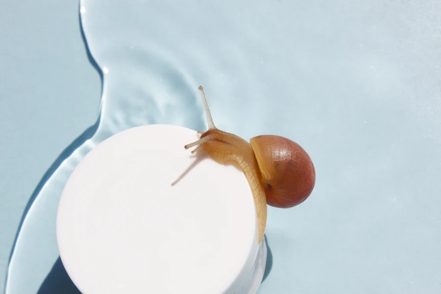 Eine Schnecke auf einem Glas Hautcreme