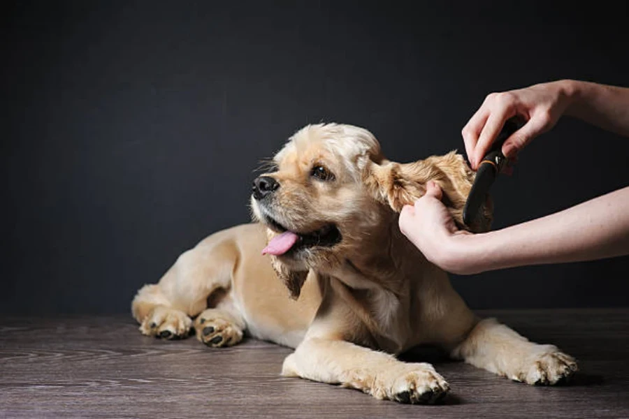 perlengkapan perawatan anjing