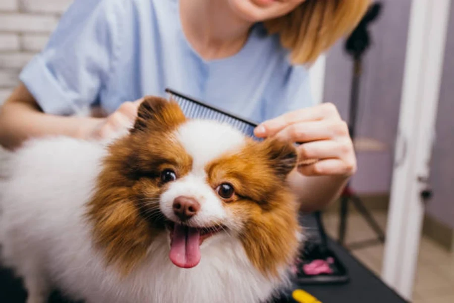 dog grooming kit