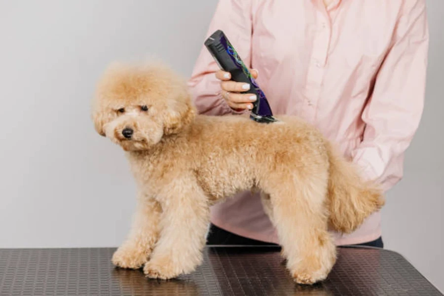 kit de toilettage pour chien