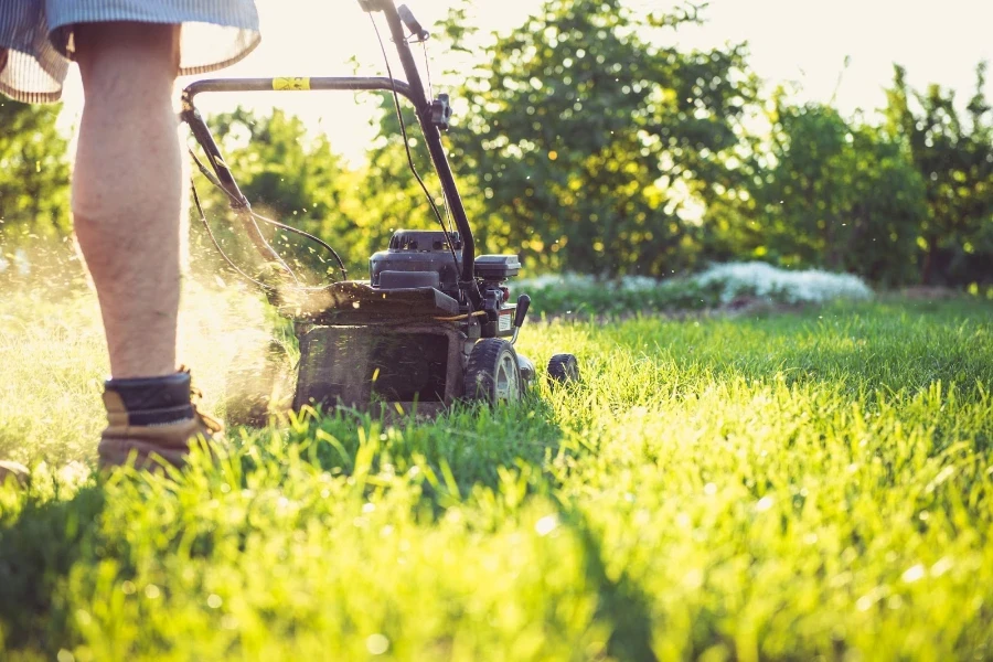 Man mowing lawn with a corded electric lawn mower