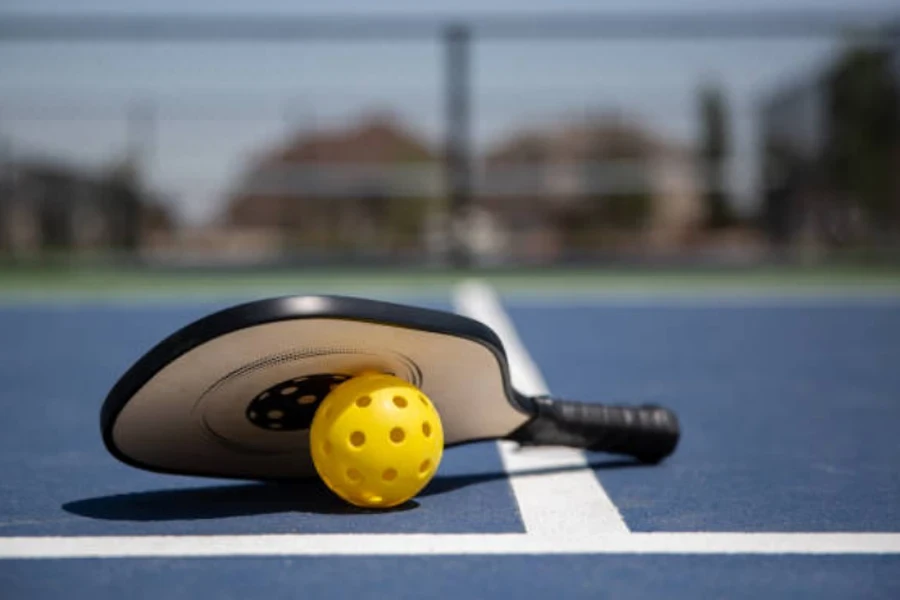 paletas de pickleball