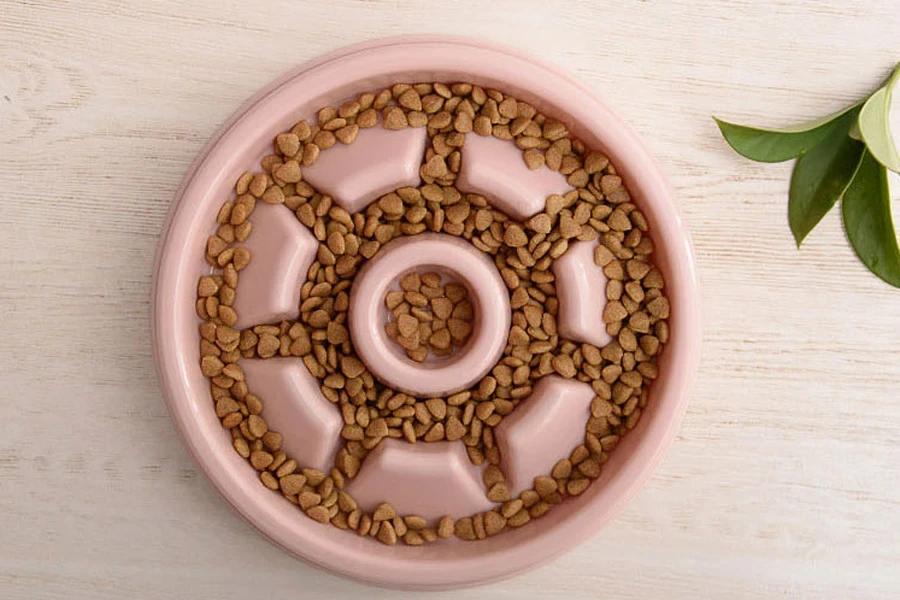 slow feeder dog bowl