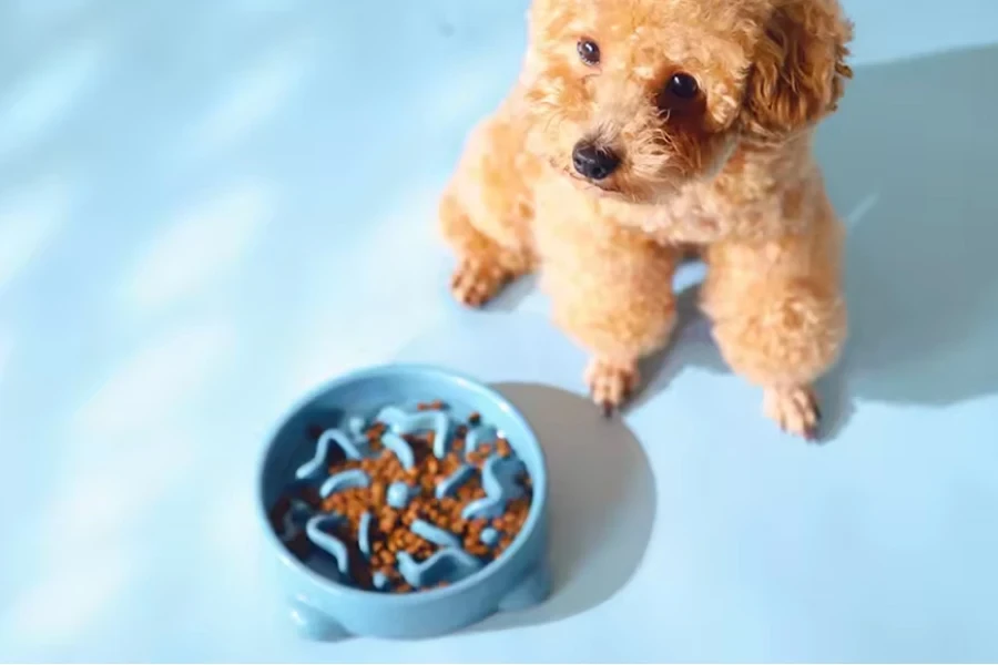 slow feeder dog bowl