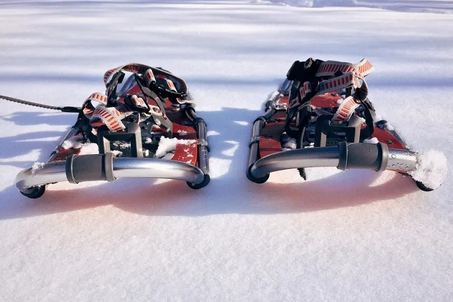 Un par de raquetas de nieve de travesía.