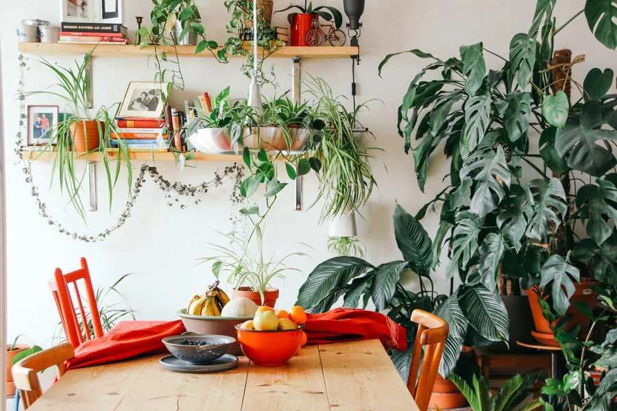 Um quarto mobiliado com decoração vegetal