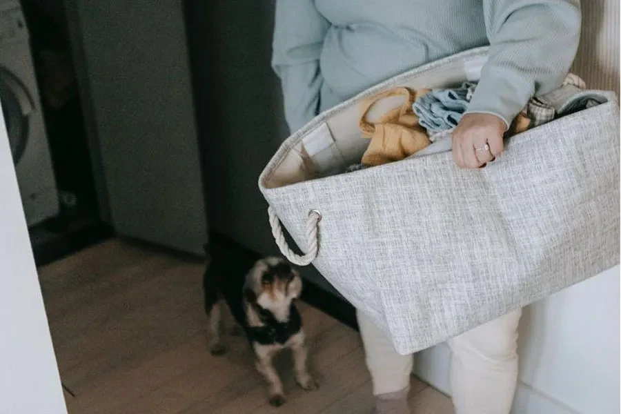 Una mujer sosteniendo un cesto de ropa plegable