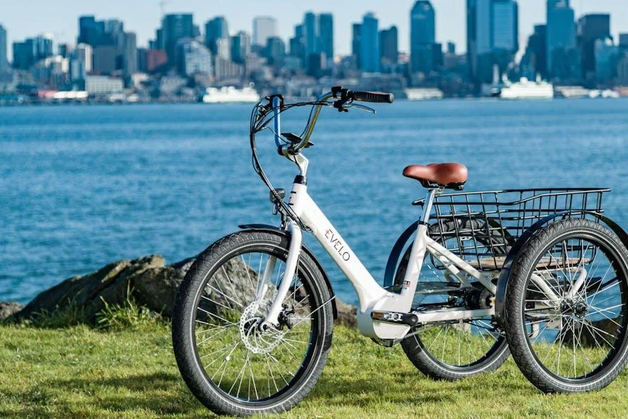 Ein elektrisches Lastenfahrrad in der Nähe einer wunderschönen Aussicht