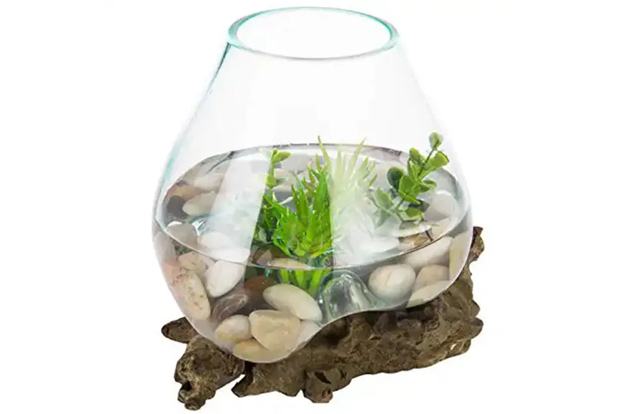 Piccolo terrario in vetro modellato su un pezzo di legno galleggiante