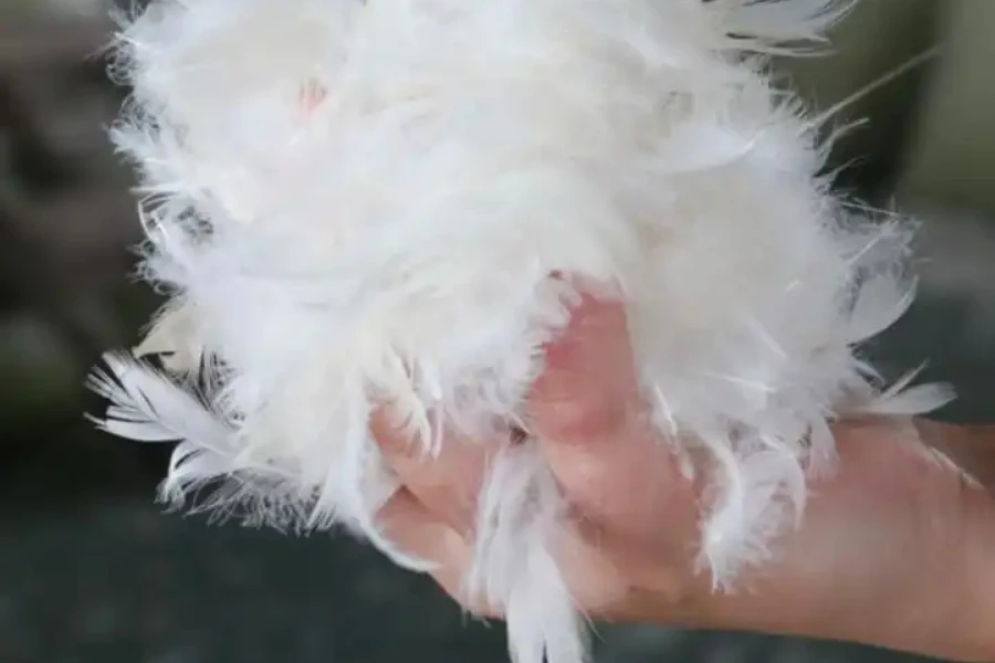 Una mano sosteniendo un montón de plumas de pato.