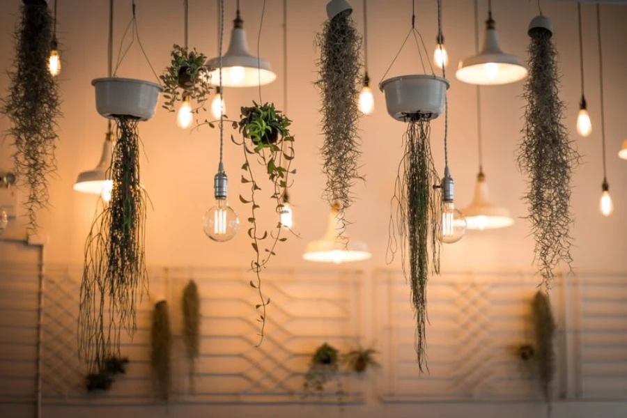 A variety of hanging outdoor lights
