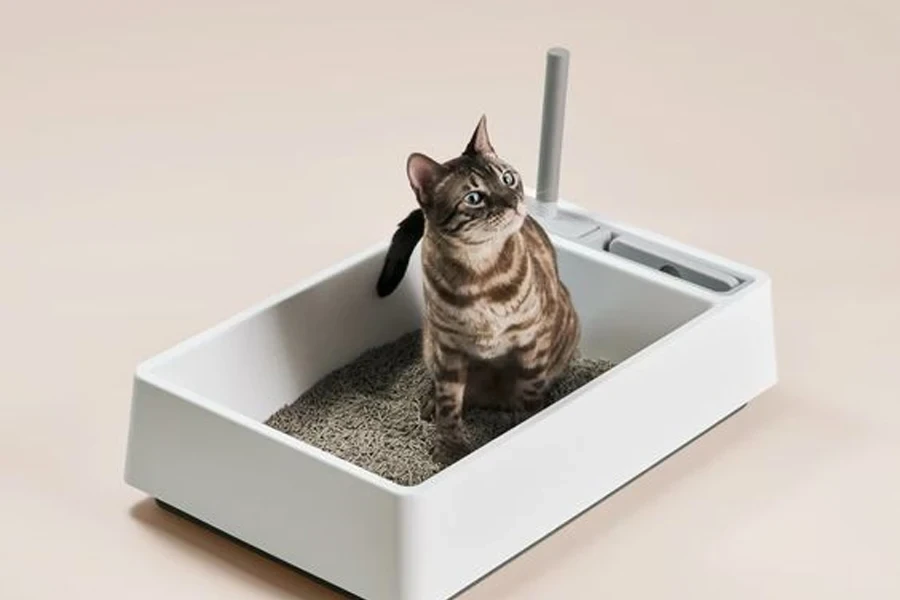 caja de arena para gatos