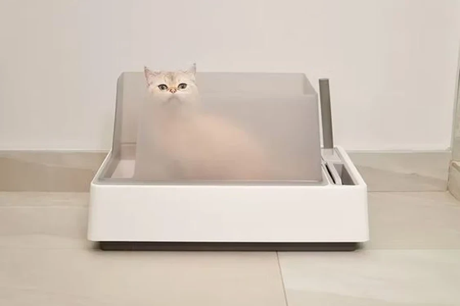 caja de arena para gatos