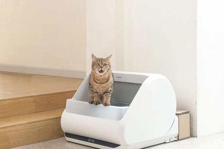 cat litter box