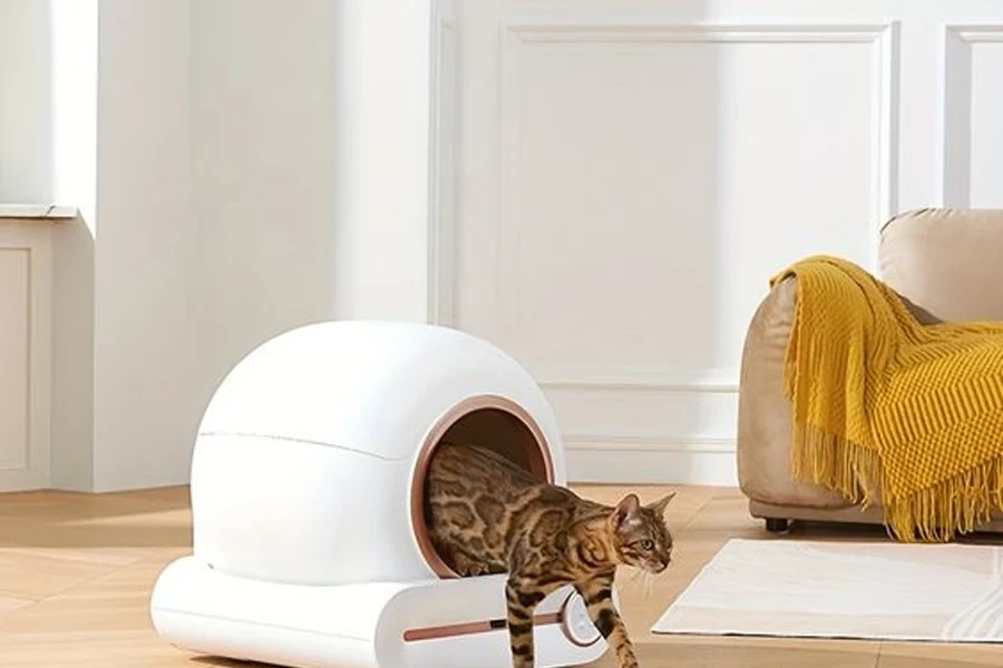 cat litter box