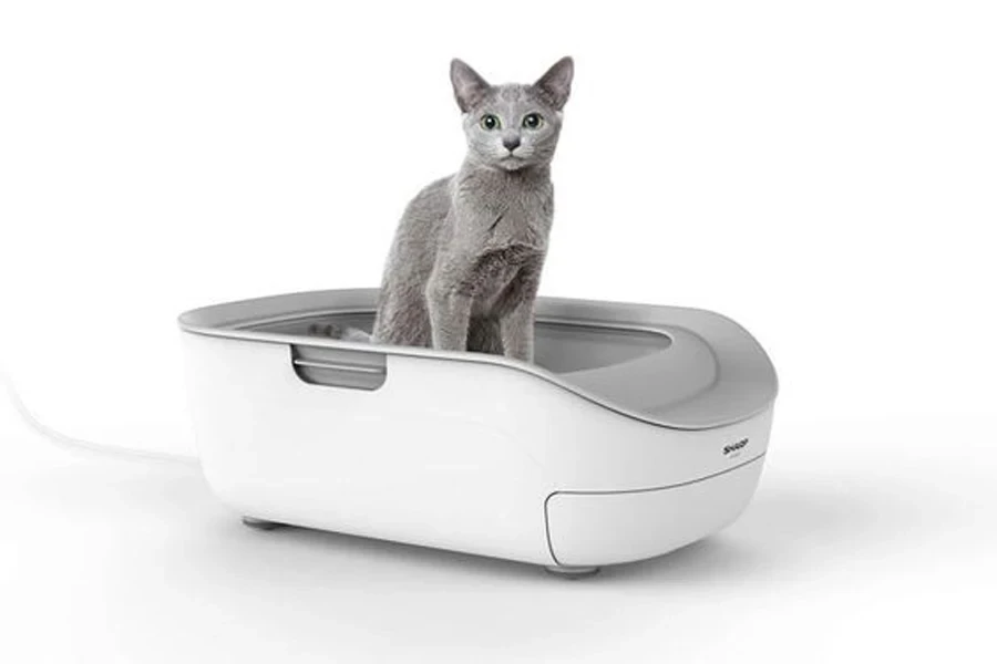 cat litter box