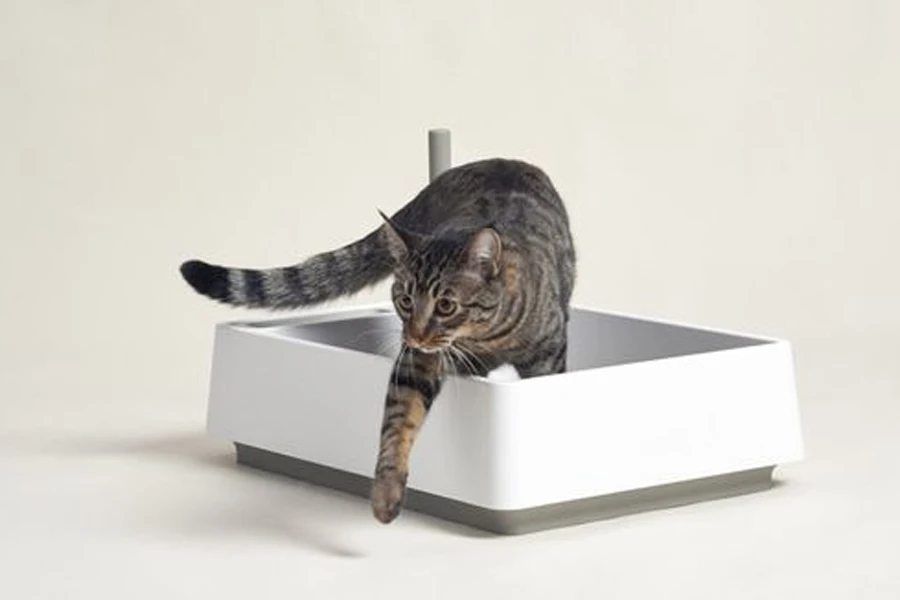 ящик для кошачьего туалета