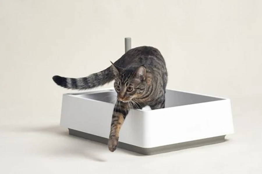 caja de arena para gatos