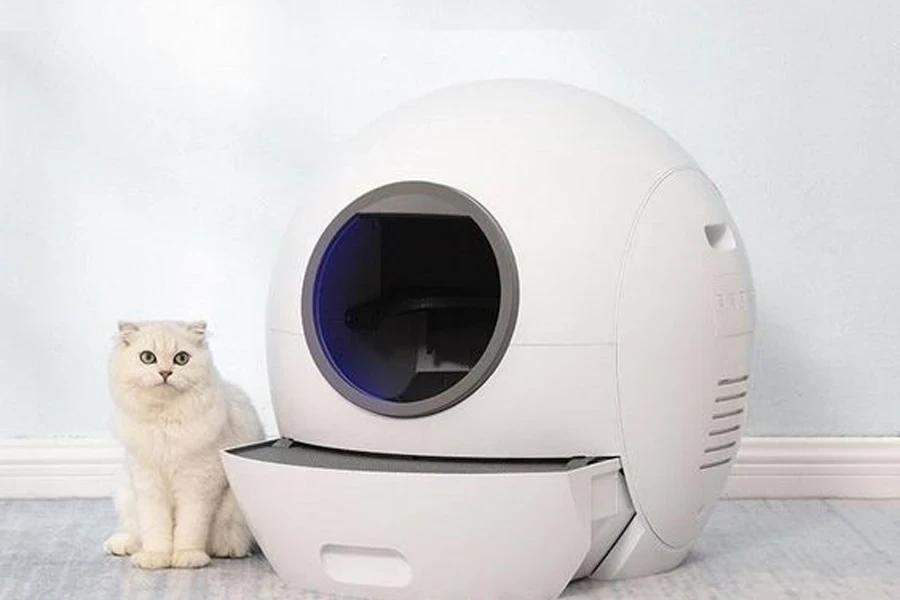 cat litter box