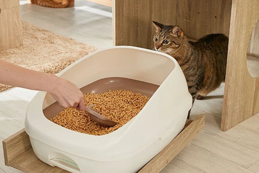 litière pour chats