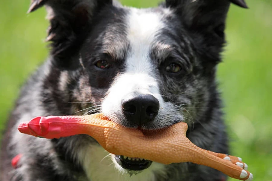 giocattolo cigolante per cani