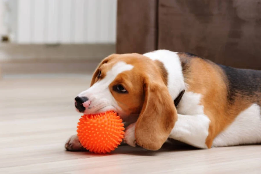 brinquedo de guincho de cachorro