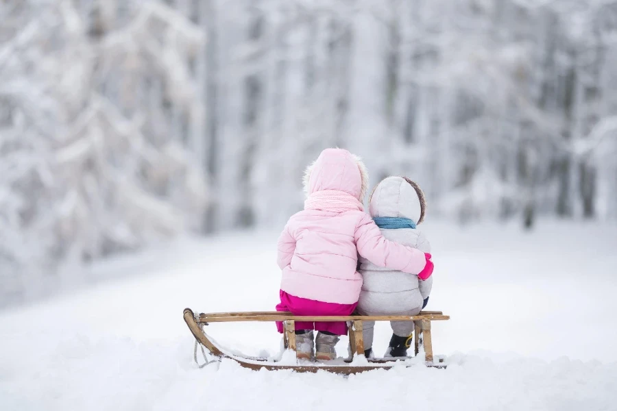 Schwester und kleiner Bruder sitzen zusammen auf Holzschlitten